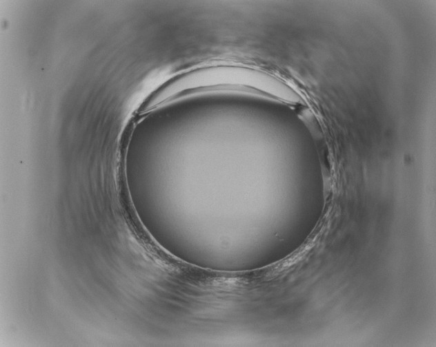 X0000088210152200706051305