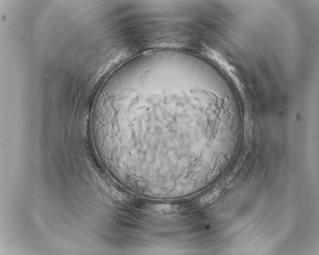 X0000088210153200706051305