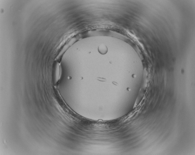 X0000088210154200706051305