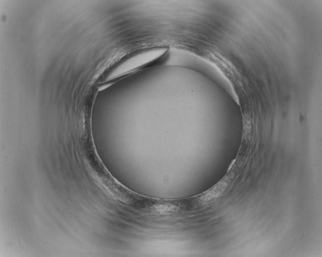 X0000088210158200706051306