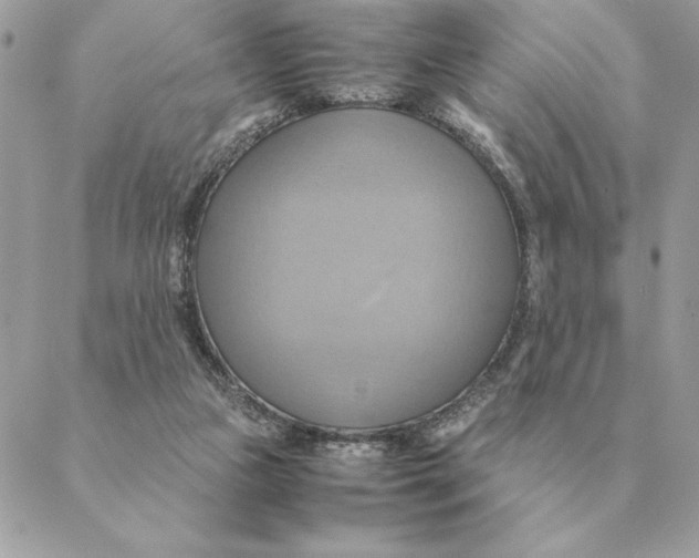 X0000088210161200706051306