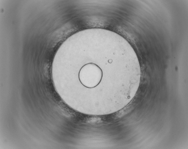 X0000088210162200706051306