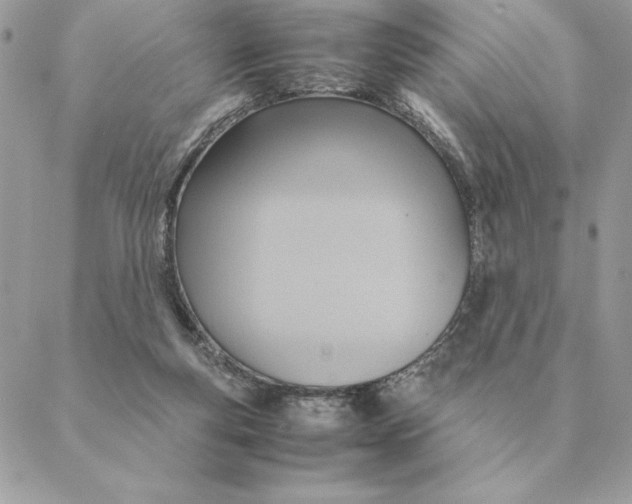 X0000088210163200706051306