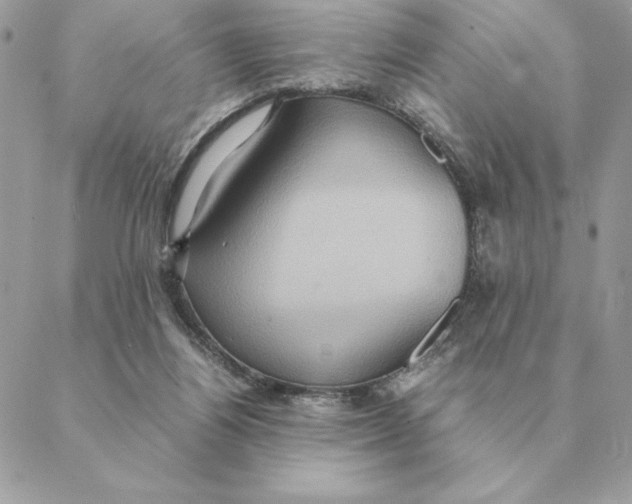 X0000088210164200706051306