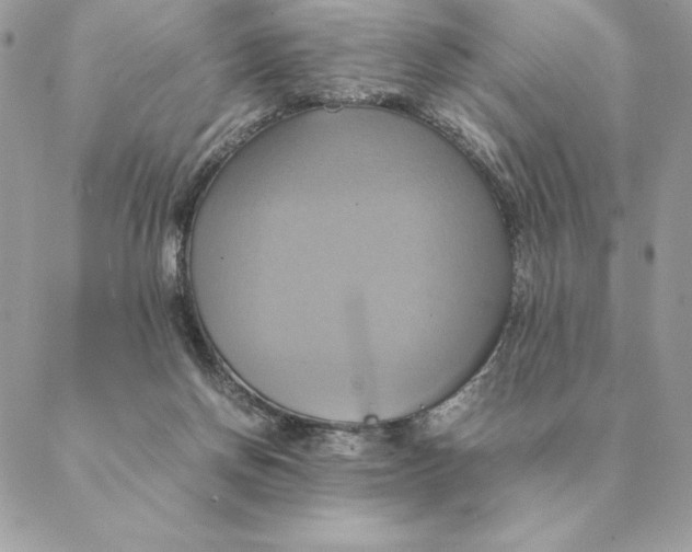 X0000088210166200706051306