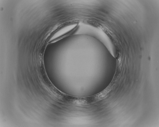 X0000088210168200706051306