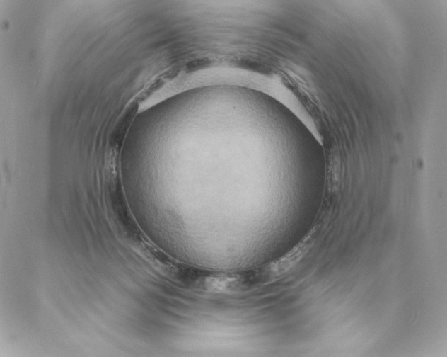 X0000088210172200706051306