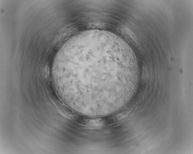 X0000088210173200706051306