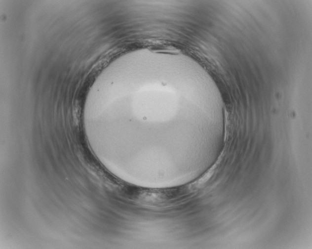 X0000088210174200706051306