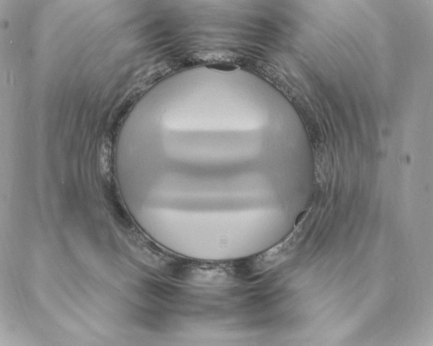 X0000088210175200706051306