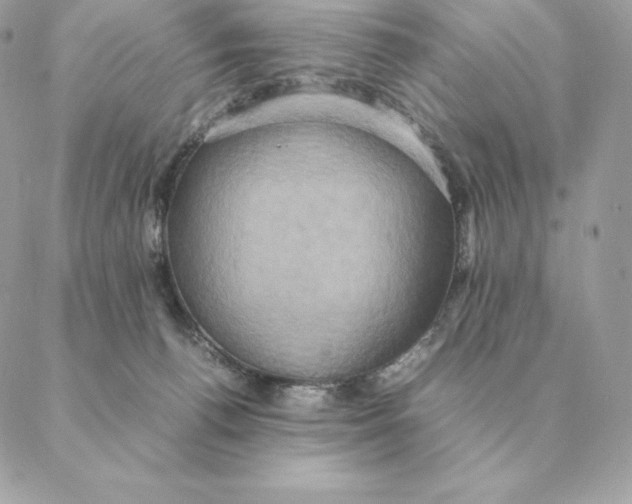 X0000088210176200706051306