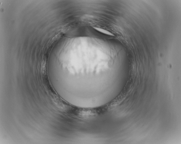 X0000088210177200706051306