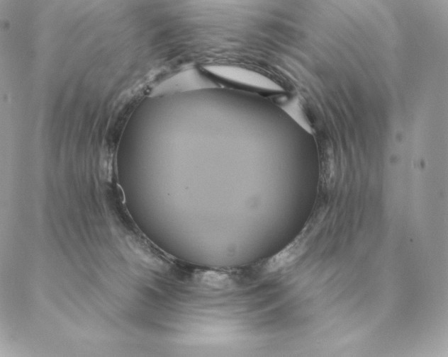 X0000088210180200706051306