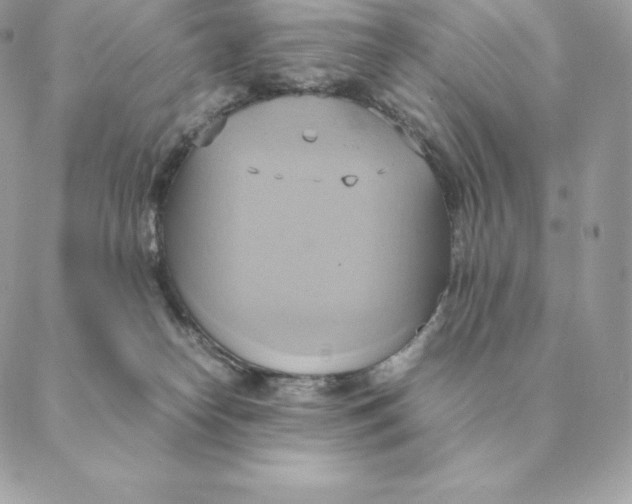 X0000088210182200706051306