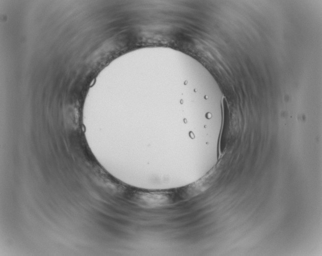 X0000088210183200706051306