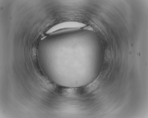 X0000088210184200706051306