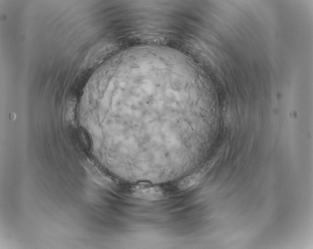 X0000088210185200706051306