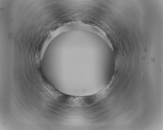 X0000088210186200706051306