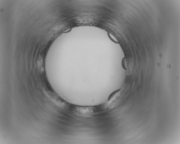 X0000088210187200706051306