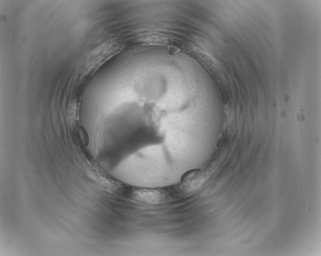 X0000088210189200706051306