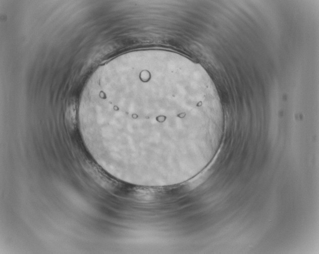 X0000088210190200706051306