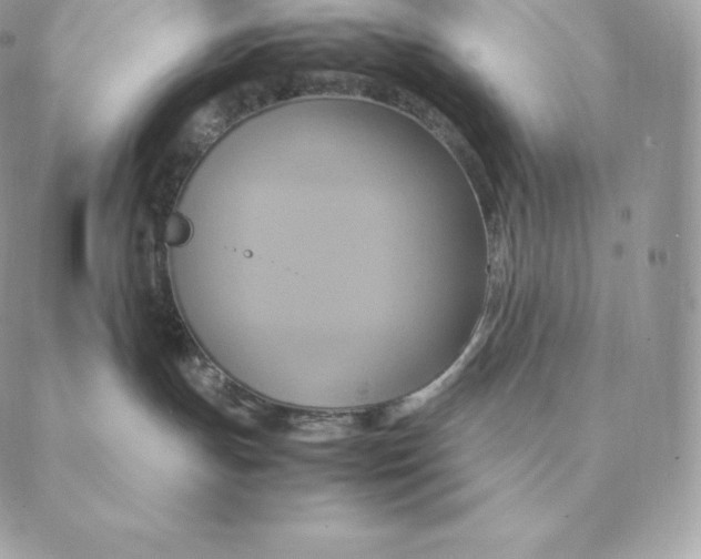 X0000088210191200706051306