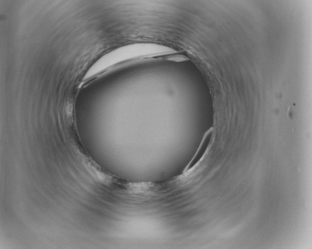 X0000088210192200706051306