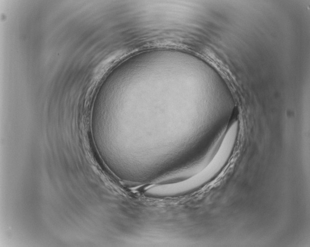 X0000088210193200706051305