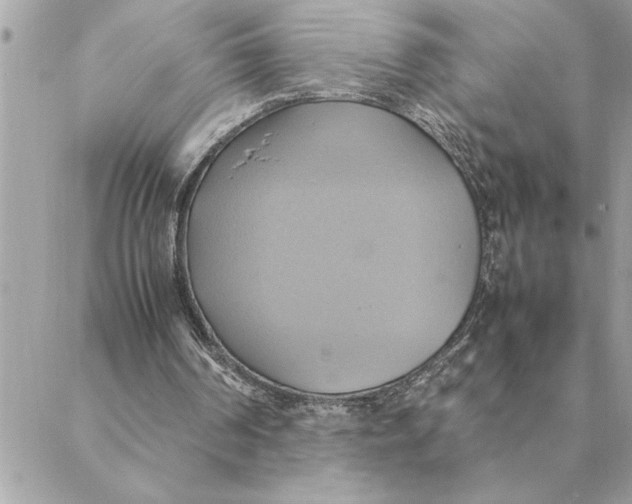 X0000088210194200706051305