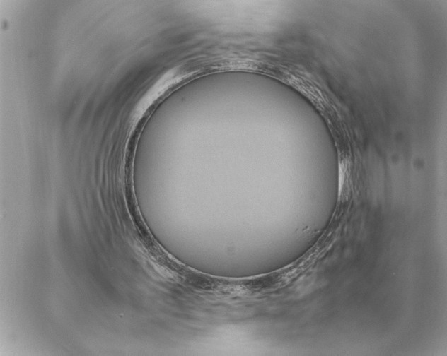 X0000088210195200706051305