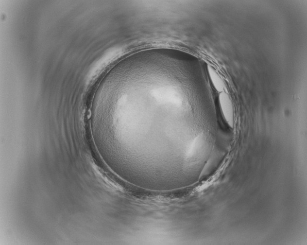 X0000088210197200706051305