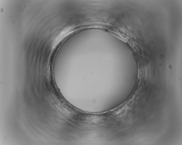 X0000088210198200706051305