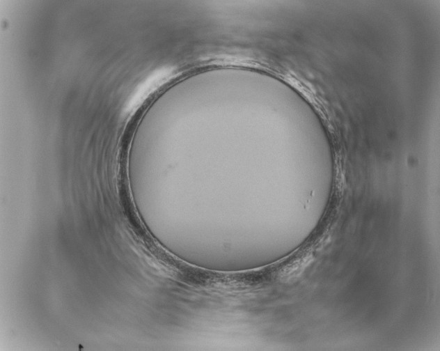 X0000088210199200706051305