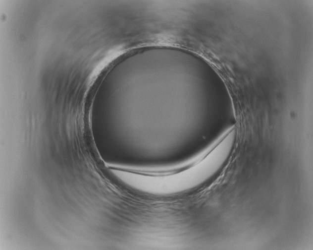 X0000088210200200706051305