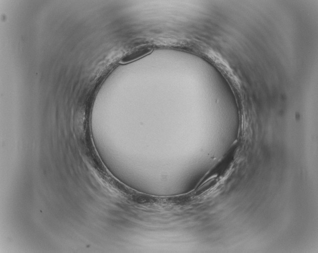 X0000088210201200706051305