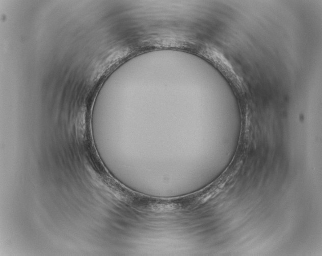 X0000088210202200706051305