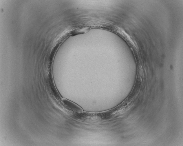 X0000088210203200706051305