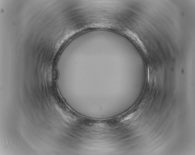 X0000088210204200706051305