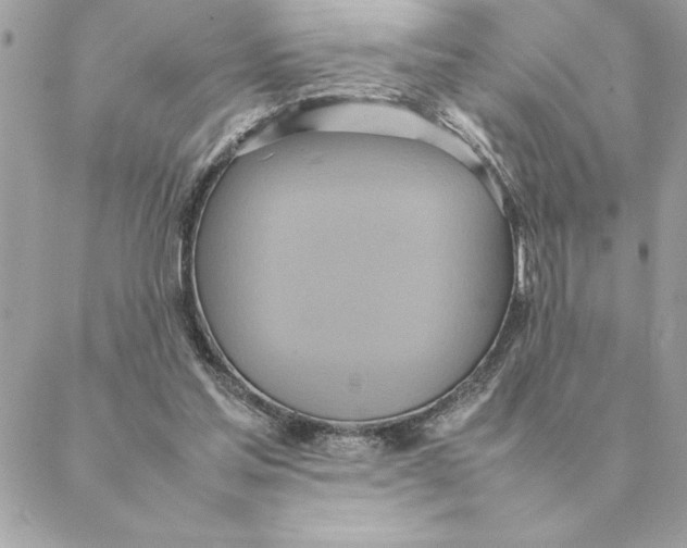 X0000088210205200706051305