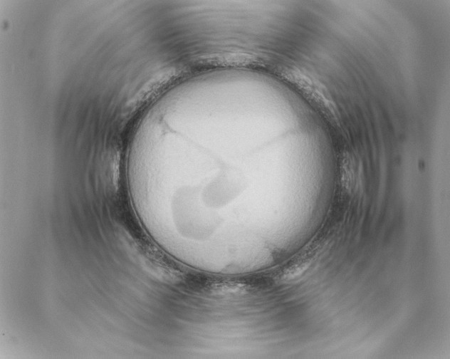 X0000088210206200706051305