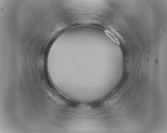 X0000088210207200706051305