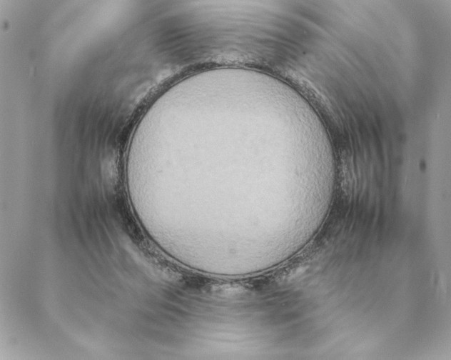 X0000088210208200706051305