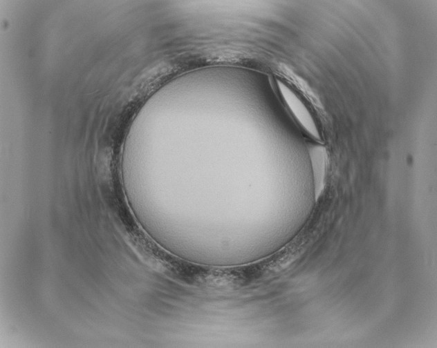 X0000088210209200706051305