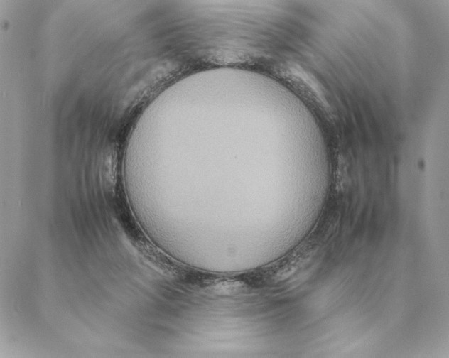 X0000088210210200706051305