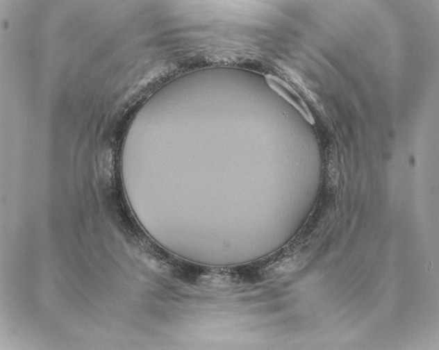 X0000088210211200706051305