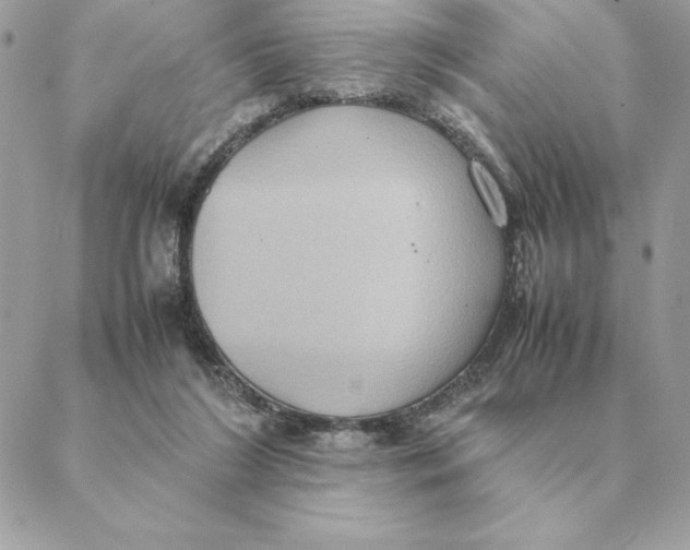 X0000088210212200706051305