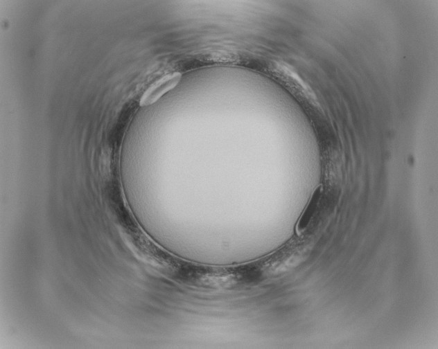 X0000088210213200706051305