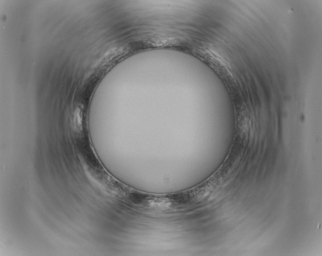 X0000088210214200706051305