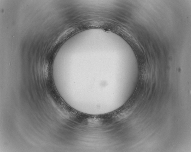 X0000088210216200706051305