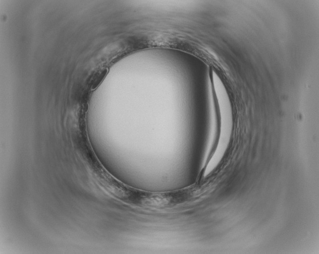 X0000088210217200706051305